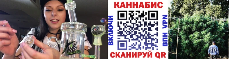 Канабис сатива  Белая Калитва 